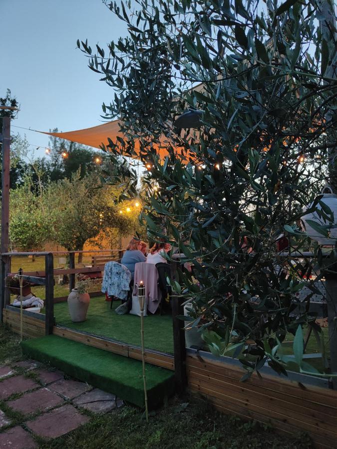 Casale Dei Ricordi Bed and Breakfast Arce Exteriör bild
